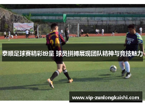 泰顺足球赛精彩纷呈 球员拼搏展现团队精神与竞技魅力